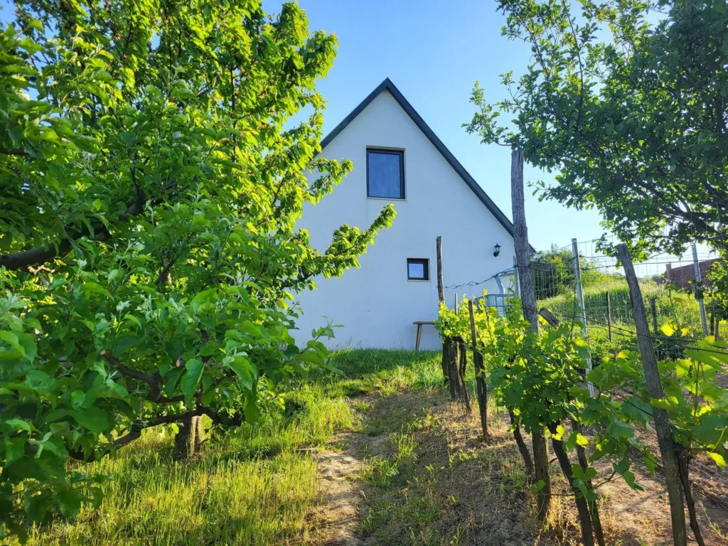 Barbár Borbár vendégház és környéke – 7. kép